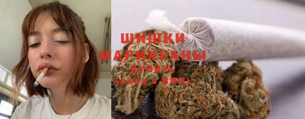 мяу мяу мука Козельск