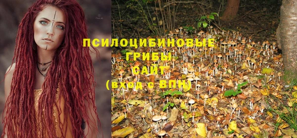 мяу мяу мука Козельск